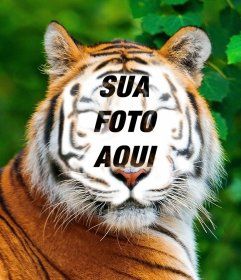 Fotomontagem de um tigre para enviar sua foto em seu rosto Birthday Frames, Wild Nature, A Tiger, Your Picture, Photo Effects, Birthday Humor, Online Photo, Photo Editor, Funny Photos