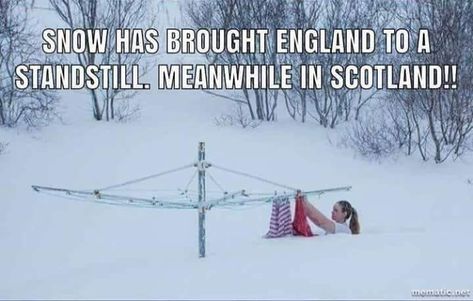 Scotland Funny, Scottish Quotes, Scottish Words, Meanwhile In Canada, Scotland History, Great Scot, Scotland Forever, Visit Canada, Scottish Castles