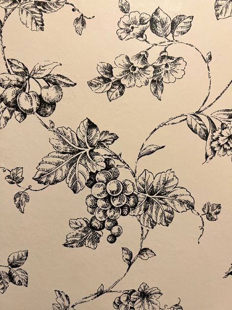 Vintage Vine Illustration, Grape Tattoo Vines, Vines Background Aesthetic, Grape Vines Aesthetic, Vine Graphic Design, Vines Art Drawing, Grape Vines Tattoo, Grape Vine Aesthetic, Grape Vine Tattoo Men