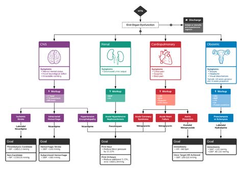 Differential Diagnosis of Hypertensive Emergency Peripheral Vascular Disorders, Anticholinergic Vs Cholinergic Nursing, Pediatric Cardiovascular Disorders, Pericardial Effusion, Acute Coronary Syndrome, Subarachnoid Hemorrhage, Acute Kidney Injury, Physician Assistant School, Cardiovascular Disorders