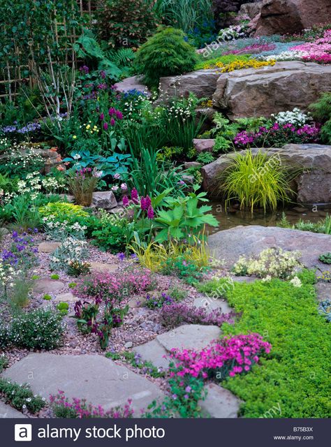 Download this stock image: Colourful alpine rockery with pool - B75B3X from Alamy's library of millions of high resolution stock photos, illustrations and vectors. Rockery Ideas, Backyard Stream, Garden Stream, Rockery Garden, Photos Flowers, Flowers Water, Alpine Garden, Rock Garden Design, Alpine Plants