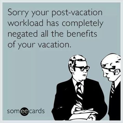 Sorry your post-vacation workload has completely negated all the benefits of your vacation. Disneyland Half Marathon, Workplace Humor, Vacation Quotes, Need A Vacation, Office Humor, Clipuri Video, Work Memes, E Card, Work Humor