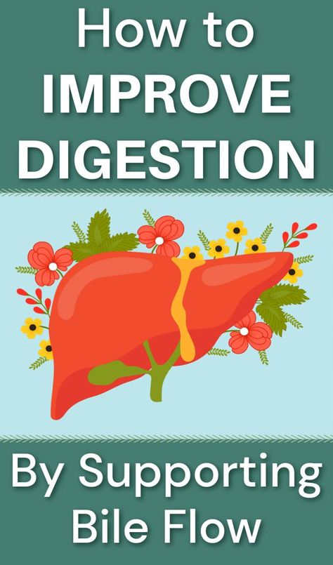 A human liver and bile duct system. Natural Healing Herbs, Natural Remedies For Allergies, Balance Hormones, Natural Acne Remedies, Hormone Balance, Natural Health Care, Natural Healing Remedies, Natural Health Tips, Improve Digestion