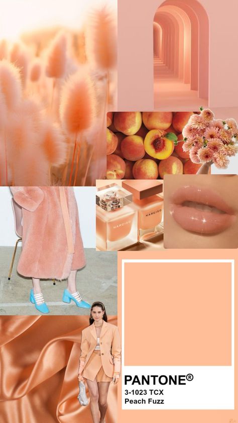 Coral Wedding Decorations, Peach Color Palettes, Peach Clothes, Rose Quartz Serenity, Pantone Colour Palettes, Color Combos Outfit, Webpage Design, Coral Wedding, Orange Aesthetic