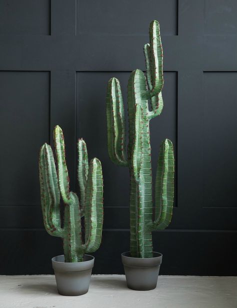 Cactus Ideas, Kaktus Dan Sukulen, Cactus House Plants, Cactus Rose, Faux Cactus, Indoor Cactus, Artificial Plants And Trees, Abigail Ahern, Small Cactus