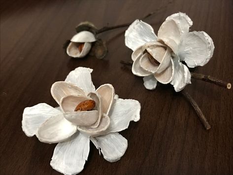 #flowers #diy #magnolia #pistachio shells #pine cones #beans Oyster Shell Magnolia Flower, Handmade White Shell With Beachy Style, Clay Magnolia Flower, Natural Pearls Sea Oyster Shells, Pistachio Shells, Handmade Pearl Shell-shaped Shell, Savannah Wedding, Magnolia Flower, Oyster Shell