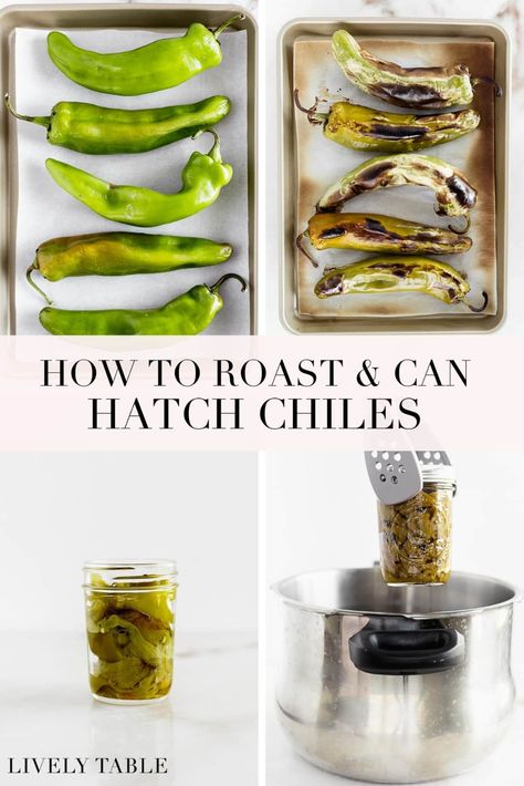 Canning Hatch Green Chilies, Chili Canning Recipe, Garden Preservation, Chili Ideas, Steam Canning, Hatch Chili Peppers, Hatch Green Chili Recipe, Roasted Chili Peppers, Canning Veggies