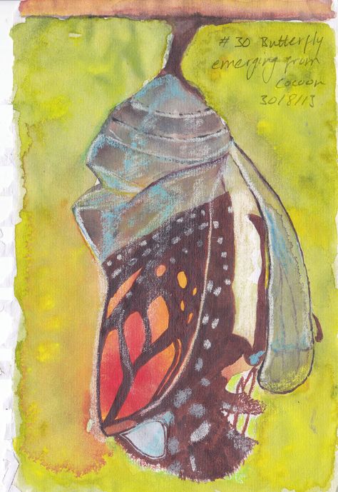 Monarch Butterfly Cocoon, Butterfly Coming Out Of Cocoon Drawing, Butterfly Cocoon Art, Butterfly Chrysalis Tattoo, Butterfly Emerging From Cocoon Tattoo, Butterfly Cocoon Drawing, Butterfly Coming Out Of Cocoon Tattoo, Butterfly In Cocoon, Butterfly Coming Out Of Cocoon