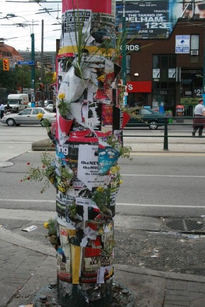 How to Recycle: Recycled Guerilla Gardening Guerilla Gardening, Guerilla Art, Moss Graffiti, Guerrilla Gardening, Urban Agriculture, Indoor Herb Garden, Urban Gardening, Indoor Gardening, Gardening Gloves