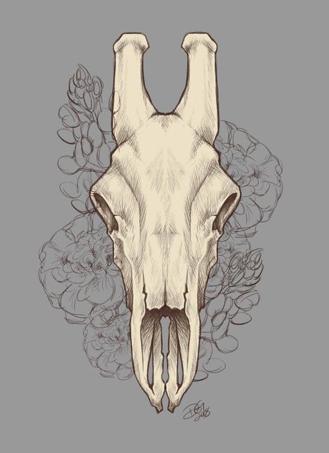 Giraffe Skull, Skeleton Drawings, Animal Skeletons, Animal Bones, Skull Drawing, Skull And Bones, Make Your Mark, Skull Tattoo, Skeleton