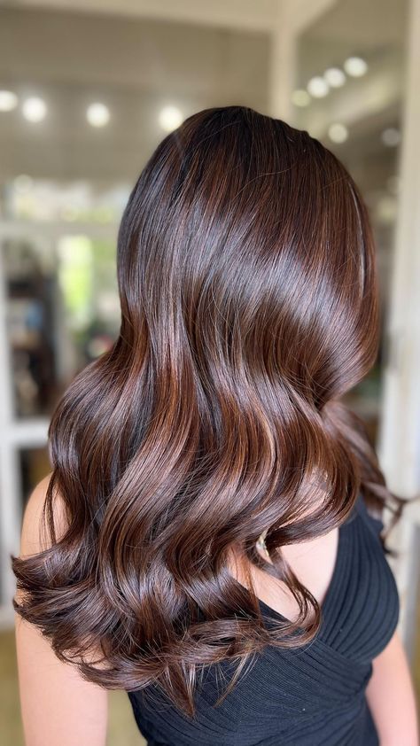 #haircolor #mochabrown #balayagehair For @_daniella0293 Hair @mamtascreative Salon @continuitysalonofficial Technique #babylights… | Instagram Brown Hair For Green Eyes, Hazelnut Brown Hair, Hazelnut Hair, Graduation Hairstyles With Cap, Ammonia Free Hair Color, Hair Color Light, Rich Brown Hair, Babylights Balayage, Brown Hair Inspiration