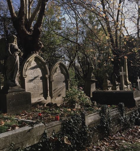 The Graveyard Book, Old Cemetery, Whatever Forever, Old Cemeteries, Southern Gothic, Gothic Aesthetic, Dark Academia Aesthetic, Visit London, Academia Aesthetic