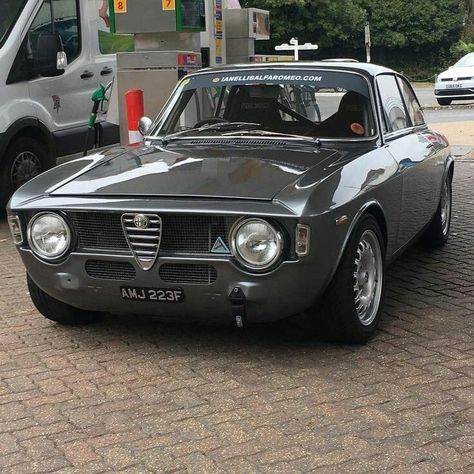 Alfa Bertone, Alfa Romeo Junior, Alfa Romeo Gta, Alfa Romeo Giulia Quadrifoglio, Alfa Romeo Gtv, Vintage Sports Cars, Alfa Romeo Cars, Alfa Romeo Giulia, Classic Sports Cars