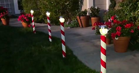 Christmas Lawn Decor, Solar Christmas Decorations, Diy Candy Cane, Christmas Lawn Decorations, Diy Christmas Candy, Solar Christmas Lights, Solar Lights Diy, Candy Cane Decorations, Diy Christmas Lights