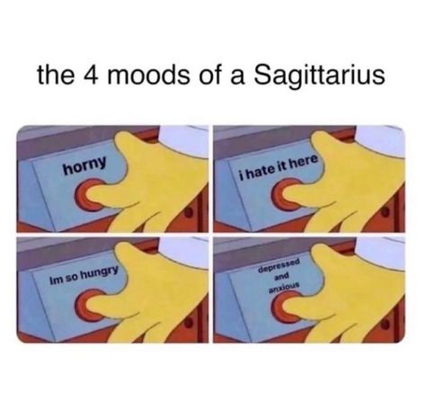 Sagittarius Core Aesthetic, Sagittarius Things, Sagittarius Vibes, Aquarius Funny, Sagittarius Funny, Sagittarius Aesthetic, Sagittarius Baby, Zodiac Sagittarius Facts, Gemini And Sagittarius