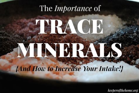 Trace Minerals Drops Benefits, Trace Minerals Benefits, Eating Reference, Alkalizing Foods, Ocean Salt, Health Essentials, Best Multivitamin, Essential Minerals, Trace Minerals