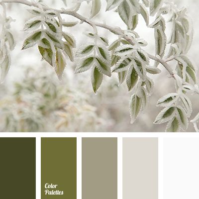 beige, dark olive, grey brown, hoarfrost color, olive, shades of beige, shades of brown, shades of green, soft beige shades, White Color Palettes, winter in the city color, winter shades. Flat Bedroom, Drawing Resources, Palettes Color, Color Palette Ideas, Palette Design, Palette Ideas, Design Seeds, Color Balance, Color Inspo