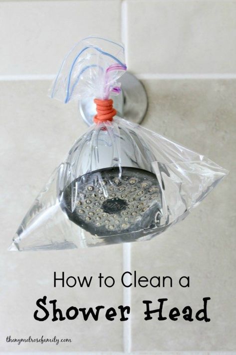 Clean Shower Head, Cleaning Shower Head, Homemade Toilet Cleaner, Clean Shower, Clean Baking Pans, Cleaning Painted Walls, Glass Cooktop, Astuces Diy, Deep Cleaning Tips