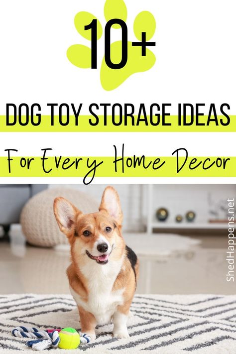 Corgi dog standing on a white rug with black geometric lines, a tennis ball on a rope toy on the ground in front of it. Text states: 10+ dog toy storage ideas for every home decor. Toy Basket Ideas, Dog Toy Storage Ideas, Modern Dog Toys, Dog Toy Bin, Clean And Organized Home, Pet Supplies Organization, Toy Storage Ideas, Homemade Dog Toys, Basket Wood