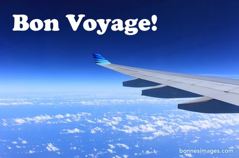 Bon Voyage Fear Of Flying, Cheap Things To Do, Delta Airlines, Jet Lag, United Airlines, Air France, Group Travel, Cheap Flights, Vacation Packages