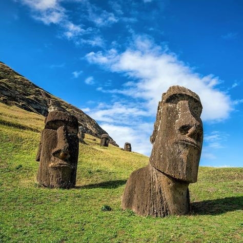 happy weekend! Easter Island Chile, Breathtaking Places, Easter Island, Happy Weekend, Tahiti, Tree Trunk, Around The Worlds, Easter, Plants