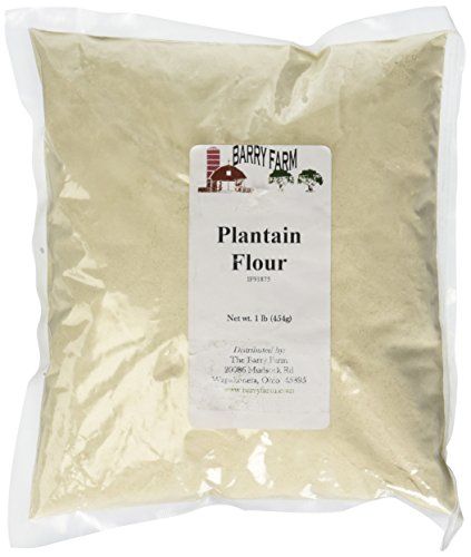 Plantain Flour, 1 lb. Plantain Flour, Pumpkin Flour, Green Banana Flour, Resistant Starch, Banana Flour, Healthy Flour, Paleo Mom, Plantain Recipes, Flour Alternatives