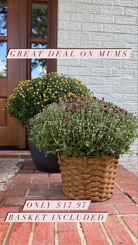 Fall Mums Decor, Porch Fall Decor, Fall Mums, Halloween Door Mat, Porch Rug, Fall Front Door, Basket Planters, Fall Decorations Porch, Outdoor Sconces