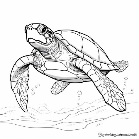 Turtle Eyes Drawing, Drawing A Turtle, Turtle Pencil Drawing, Cute Sea Turtle Drawing, Turtle Drawing Simple, Sea Turtle Coloring Pages, Turtles Drawing, Draw Turtle, Turtles Tattoo