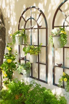 54 Exterior Decoration Ideas With Flower in Window Patio Wall Decor, Front Yard Design, Patio Wall, Vertical Gardens, Walled Garden, Wall Garden, Have Inspiration, Outdoor Wall Art, Garage Ideas