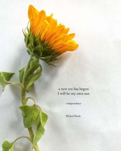 Quotes On Flower, Flowers Poetry, Comic Quotes, Dandelion Quotes, Meaningful Sayings, Sunflower Quotes, Selfie Quotes, Love Quotes Life, Sunflower Yellow