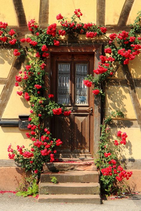 Blotzheim, France-- I want my future house to look like this : ) Looking Out Window, Red Vines, Gorgeous Doors, Backdrop Frame, Door Entryway, Modern Farmhouse Exterior, Cottage Art, Outside Living, Front Entrances