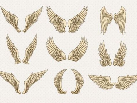 What type of wings do you have Cartoon Wings, Types Of Wings, Types Of Angels, Decorative Set, Drawing Studies, Wings Tattoo, Angel And Devil, Arte Popular, What Type