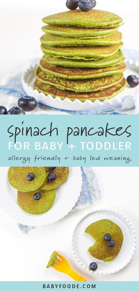 Spinach Pancakes For Baby, Toddler Allergies, Pancakes For Baby, Baby Blender, Breakfast Pancakes Recipe, Spinach Pancakes, Baby Pancakes, Baby & Toddler Food, Baby Led Weaning Recipes