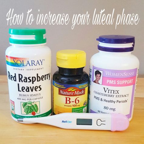 Fertility Supplements Trying To Conceive, Vitex Fertility, Short Luteal Phase, Fertility Support, Fertility Tea, Luteal Phase, Getting Pregnant Tips, Fertility Nutrition, Fertility Tips