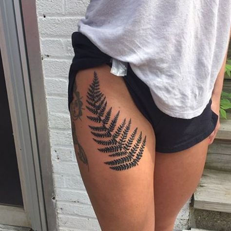 pinterest / lilyxritter Biology Tattoo, Blatt Tattoos, Fern Tattoo, Tattoo Nature, 1 Tattoo, Music Tattoos, Maori Tattoo, Hip Tattoo, Arm Tattoos For Guys