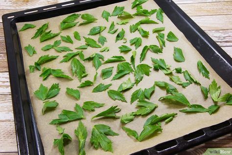 How to Dry Herbs in the Oven (with Pictures) - wikiHow Drying Fresh Herbs, Herb Drying, Food Spices, Dried Bay Leaves, Survival Foods, Plain Cookies, Preserving Herbs, Dry Herbs, Herb Gardens