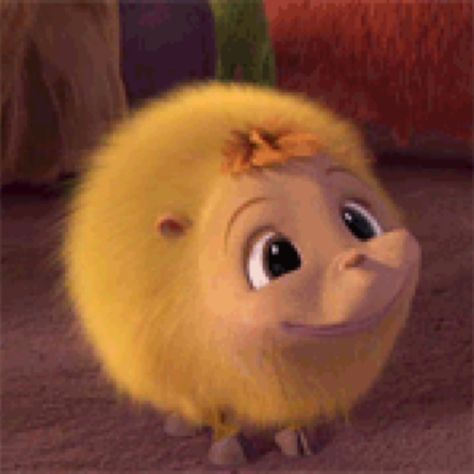 Katie from Horton hears a who! Katie Meme, Horton Hears A Who, Miss Peregrines Home For Peculiar, Peculiar Children, Home For Peculiar Children, Tv Tropes, Crazy Funny Pictures, Funny Reaction Pictures, Animation Studio