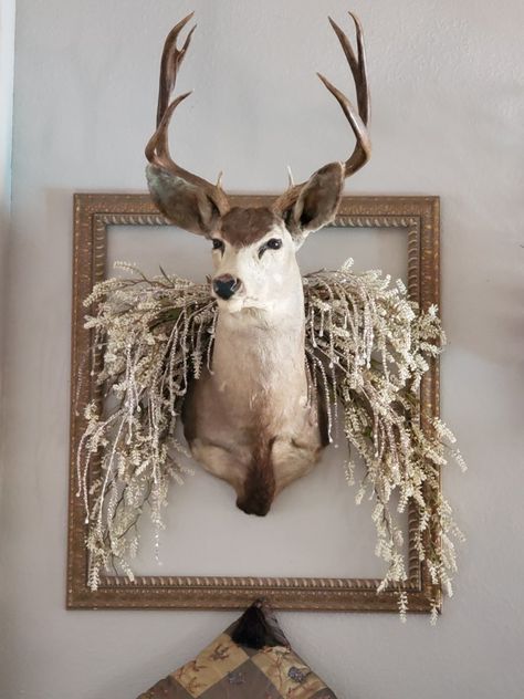 Deer Heads Living Room, Decorating With Deer Mounts, Deer Mount Decor, Deer Skull Decor, Deer Mount Ideas, Hunting Home Decor, Deer Head Decor, Deer Heads Mount, Taxidermy Deer