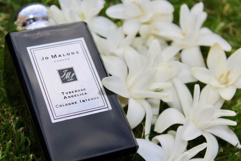 Pink Pigment – Jo Malone London Tuberose Angelica Perfume Review Jo Malone Tuberose Angelica, Tuberose Angelica, Perfume Reviews, Jo Malone London, Jo Malone, London, Pink