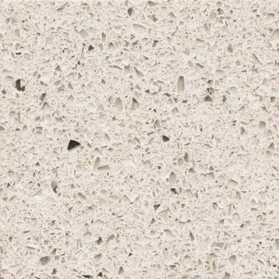 Silestone 2 in. Quartz Countertop Sample in Stellar Snow-SS-Q0310 - The Home Depot Clean Quartz Countertops, Silestone Kitchen, Mod Kitchen, Silestone Countertops, Sophisticated Kitchen, Snow Quartz, Real Kitchen, Quartz Surfacing, Quartz Kitchen