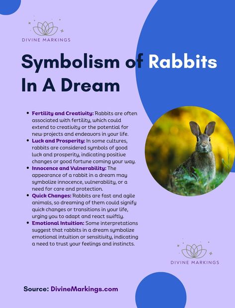 Biblical Meaning of Rabbits in Dreams Bunny Meaning, Name And Meaning, Spirit Animal Meaning, Animal Meanings, Rabbit Names, Animal Symbolism, Dream Symbols, Dream Meanings, Spiritual Messages