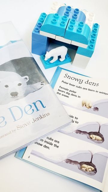 Build a Snowy Den for a Polar Bear Winter STEM Activity for Kids Winter Stem Activities For Kids, Friendship Activities Preschool, Polar Bears Preschool, Polar Activities, Polar Bears Activities, Last Day Of January, December Lesson Plans, Stem Activity For Kids, Bears Preschool