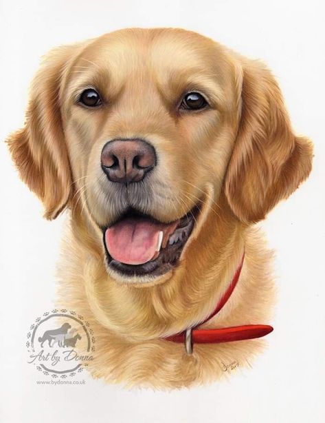 Realistic Dog Drawings Pencil, Dog Realistic Drawing, Golden Retriever Drawing, Realistic Animal Drawings, Pencil Drawing Images, Color Pencil Sketch, Realistic Sketch, Puppy Drawing, Realistic Pencil Drawings