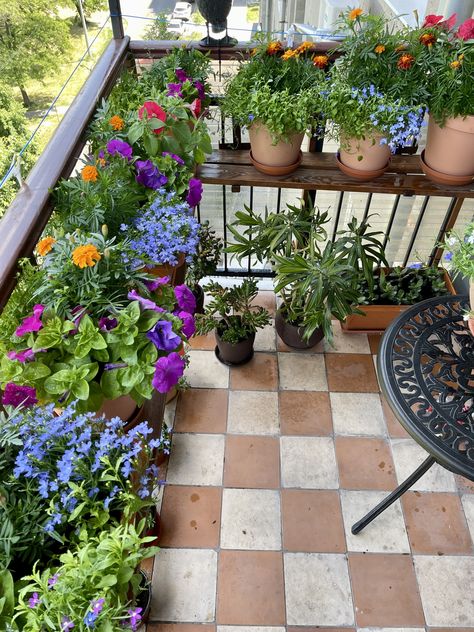 Balkon Decor, Small Balcony Garden, Balcony Flowers, Aesthetic Garden, Balcony Plants, Garden Aesthetic, 아파트 인테리어, House Plants Decor, Apartment Balcony Decorating