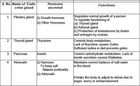 CBSE 8, Science, CBSE- Reaching the age of Adolescence, Notes Reaching The Age Of Adolescence Notes, Class 8 Notes, Menstruation Cycle, Pituitary Gland, Sweat Gland, Thyroid Gland, Class 8, Muscle Body, Bacterial Infection