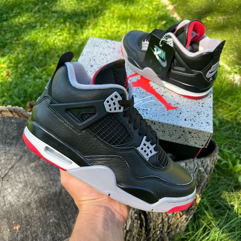 Jordan 4 Bred Reimagined, Jordan 4 Collection, Shoe References, Air Jordan 4 Bred, Dream Sneakers, Bred 4, Fire Shoes, Jordan 4 Bred, Jordan Collection