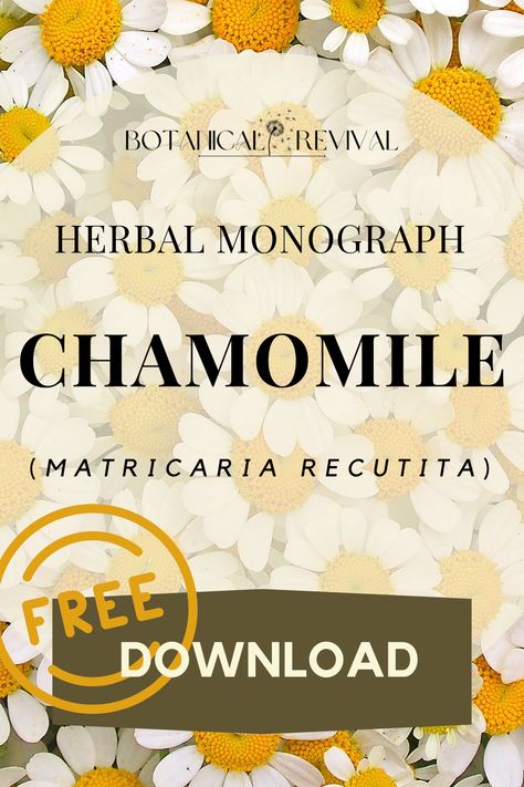 reads: chamomile (matricaria recutita) herbal monograph free download--botanical revival Chamomile Skin Benefits, Chamomile Uses, Chamomile Benefits, Benefits Of Chamomile, Chamomile Tea Benefits, German Chamomile, Roman Chamomile, Tea Benefits, Chamomile Tea