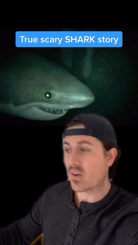 Scary Shark Videos, Shark Videos Scary Creepy, Huge Waves Scary Ocean, Scary Facts About The Ocean, Creepy Ocean Facts, Scary Things Found In The Ocean, Creepy Things Found In The Ocean, Scary Things In The Ocean, Scary Ocean Pics