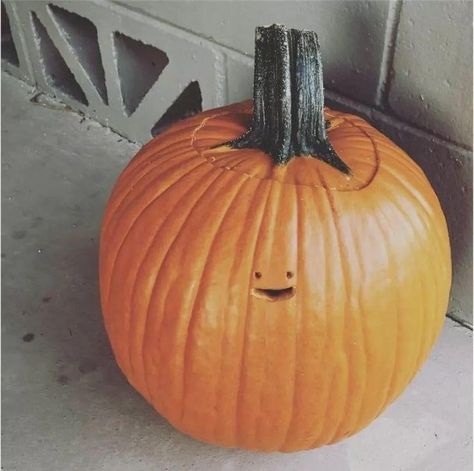 Silly Pumpkin Faces, Cool Pumpkin Designs, Pumpkin Face Carving, Funny Pumpkin Carvings, Cute Pumpkin Carving, Pumkin Carving, Creative Pumpkin Carving, Amazing Pumpkin Carving, Easy Pumpkin Carving