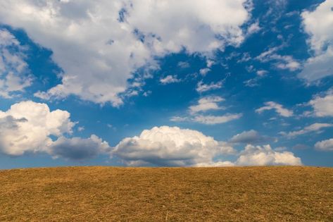 Blue sky and dry grass field on ground, ... | Premium Photo #Freepik #photo #background #summer #cloud #green Green Green Grass Blue Blue Sky Dance, Grass And Trees Background, Blue Sky Background Landscape, Sky And Grass Background, Hd Landscape, Mobile Wallpaper Android, Grass Background, Blue Sky And White Clouds Background, Architecture Background